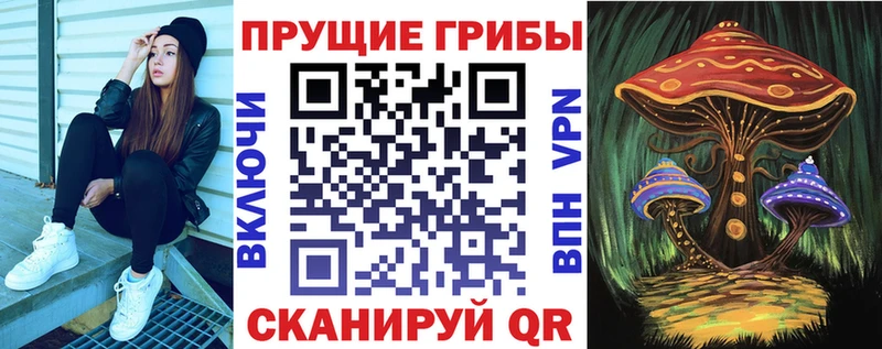 дарнет шоп  Красноармейск  Псилоцибиновые грибы GOLDEN TEACHER 
